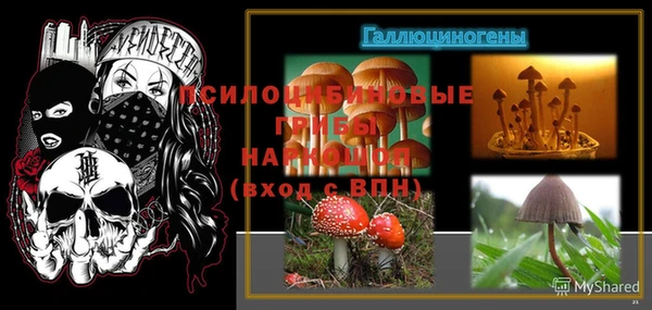 прущий лед Алексин
