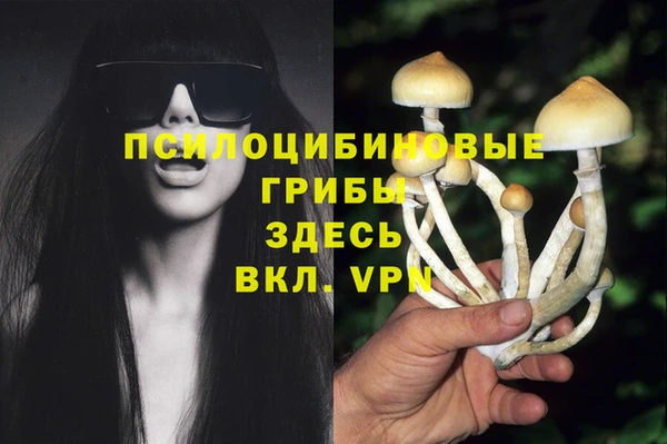 стаф Алексеевка