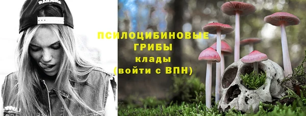 стаф Алексеевка